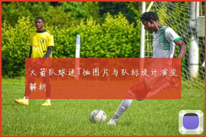 火箭队球迷T恤图片与队标设计演变解析